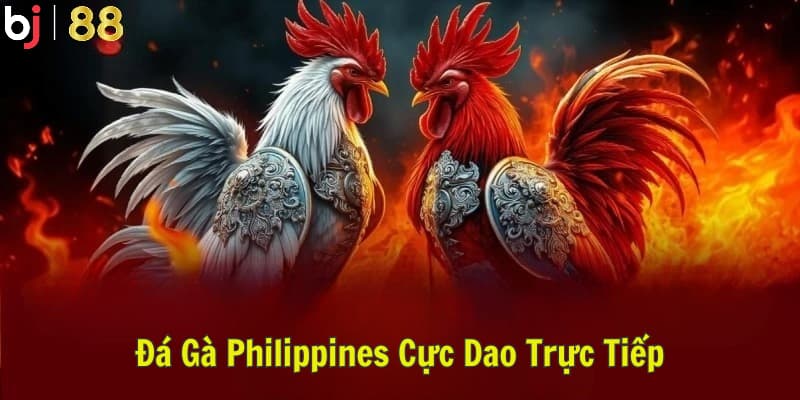 Đá Gà Philippines Cựa Dao Trực Tiếp