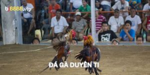 Đá Gà Duyên Ti