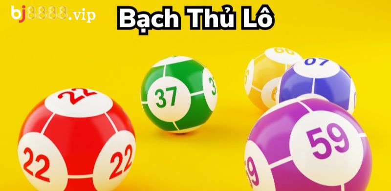 Soi Cầu Bạch Thủ