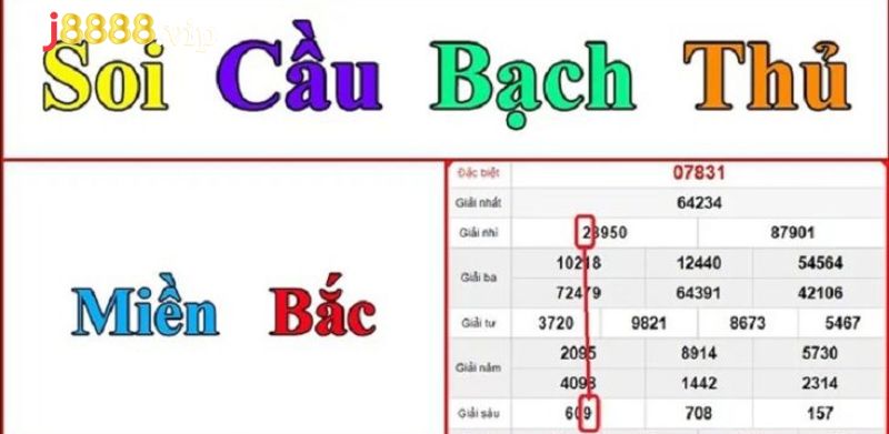 Soi Cầu Bạch Thủ